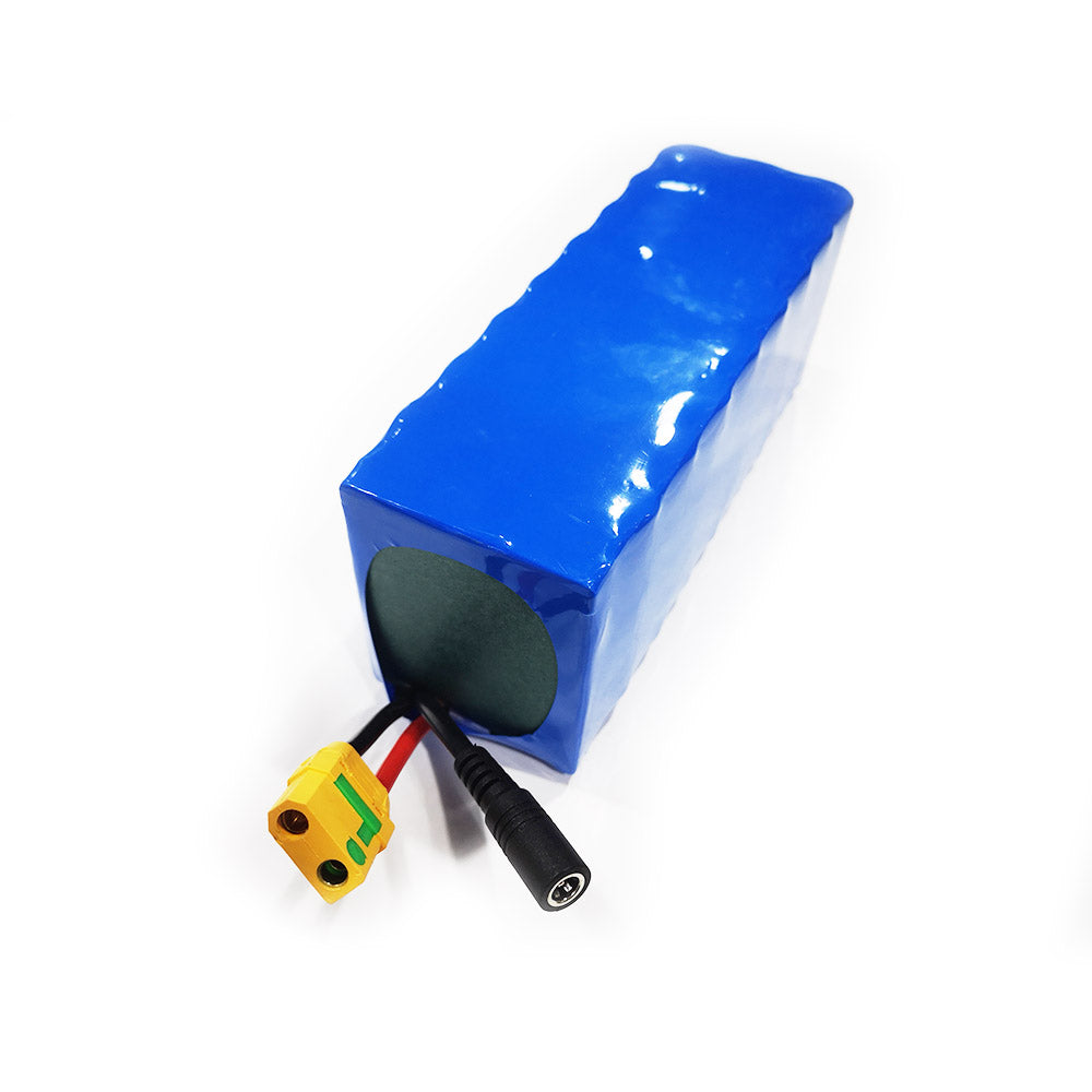 12.6Ah 8S3P 29.6V Battery Pack And Charger for Electric SUP Efoil DIY Electric Foil Assist