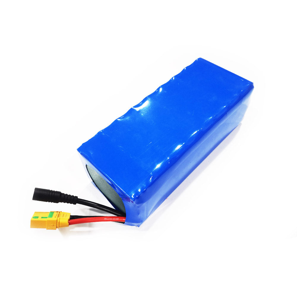 12.6Ah 8S3P 29.6V Battery Pack And Charger for Electric SUP Efoil DIY Electric Foil Assist